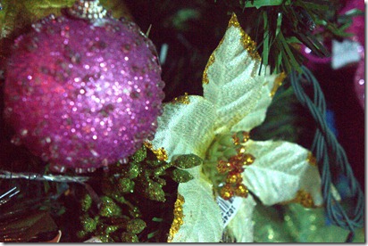 Close up Christmas 066.ARW