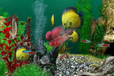 AquaLife 3D(圖4)-速報App