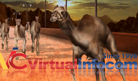 Camel race 3D poster 1