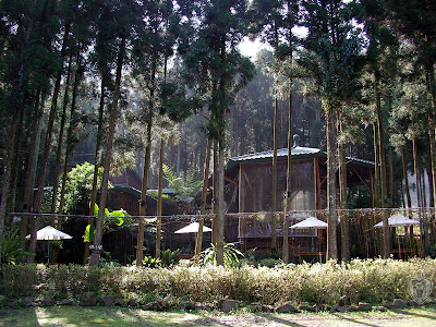 苗栗南庄蘿菈農場 @八大露營社活動