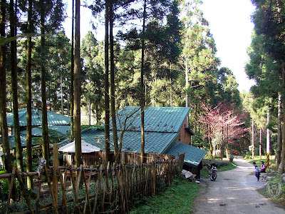 苗栗南庄蘿菈農場 @八大露營社活動