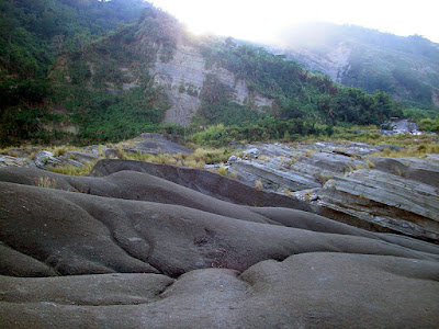 台中和平汶山露營區 @98 年元旦活動 (2-2)