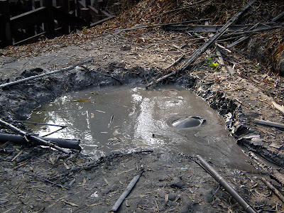 高雄茂林，屏東墾丁 @95 年春節露營 (2-1)