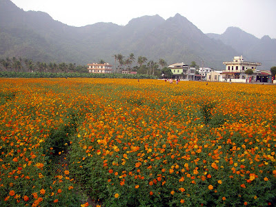 高雄茂林，屏東墾丁 @95 年春節露營 (2-1)