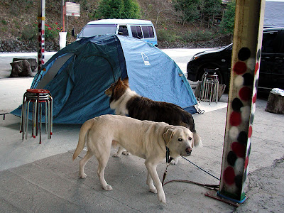 高雄那瑪夏發啦斯營地 @98 年春節移動露營 (4-1)