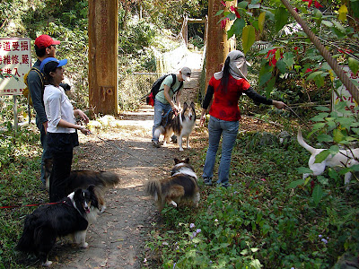 高雄那瑪夏發啦斯營地 @98 年春節移動露營 (4-1)