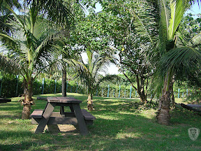 花蓮牛山呼庭，台東小野柳，台東ㄚ一ㄚ旺 @95 年中秋露營