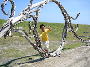 花蓮牛山呼庭，台東小野柳，台東ㄚ一ㄚ旺 @95 年中秋露營