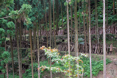 新竹五峰谷燕鳟魚養殖場露營區 @定點露營