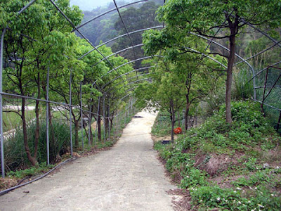 新竹關西飛鳳園農場 @定點露營