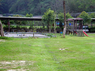 新竹關西飛鳳園農場 @定點露營