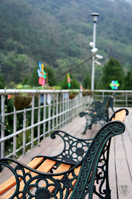 新竹北埔永茂森林山莊 @2009 第一屆古典燈爐聚會