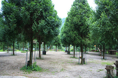 新竹北埔永茂森林山莊 @八大露營社北區迎新活動