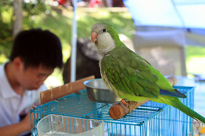 桃園復興馬灣休閒農場 @八大露營社活動
