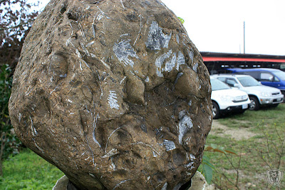 新竹五峰翡述景園 @定點露營