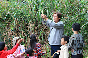 新竹五峰翡述景園 @定點露營