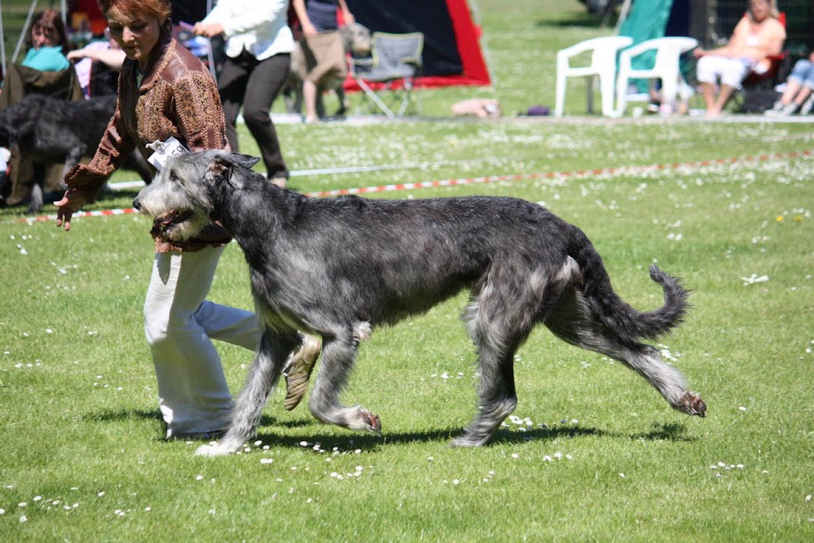 IMG_0452_resize.jpg