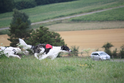 IMG_0630_resize.jpg