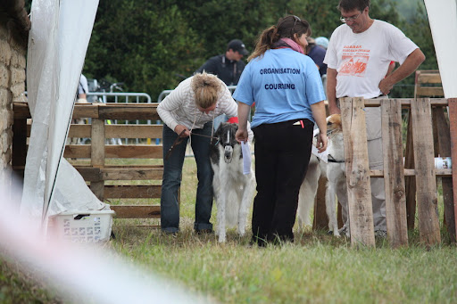IMG_0613_resize.jpg