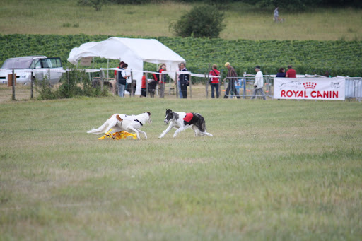 IMG_0642_resize.jpg