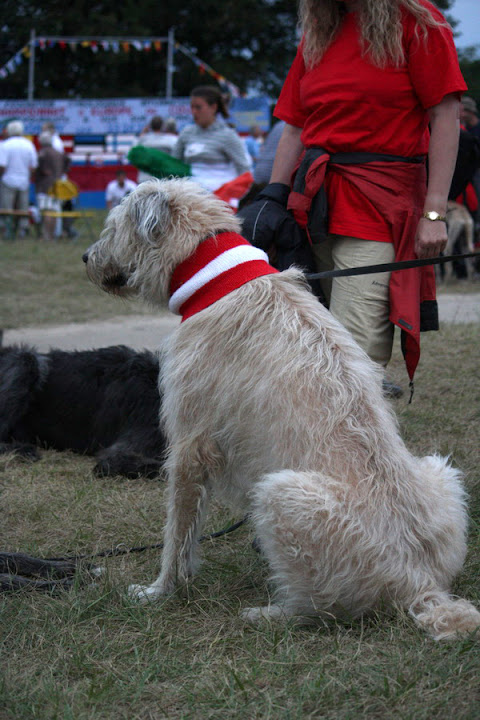 IMG_0908_resize.jpg