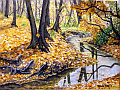 autumn forest scene near a river