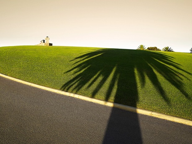 Palm-shadow-on-green-field