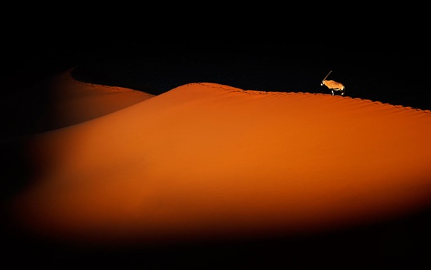 Sands at the Sossusvlei Desert , Namib-Naukluft National Park, Namibia