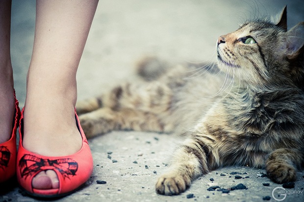 The-girl-and-the-cat-beauty-photography