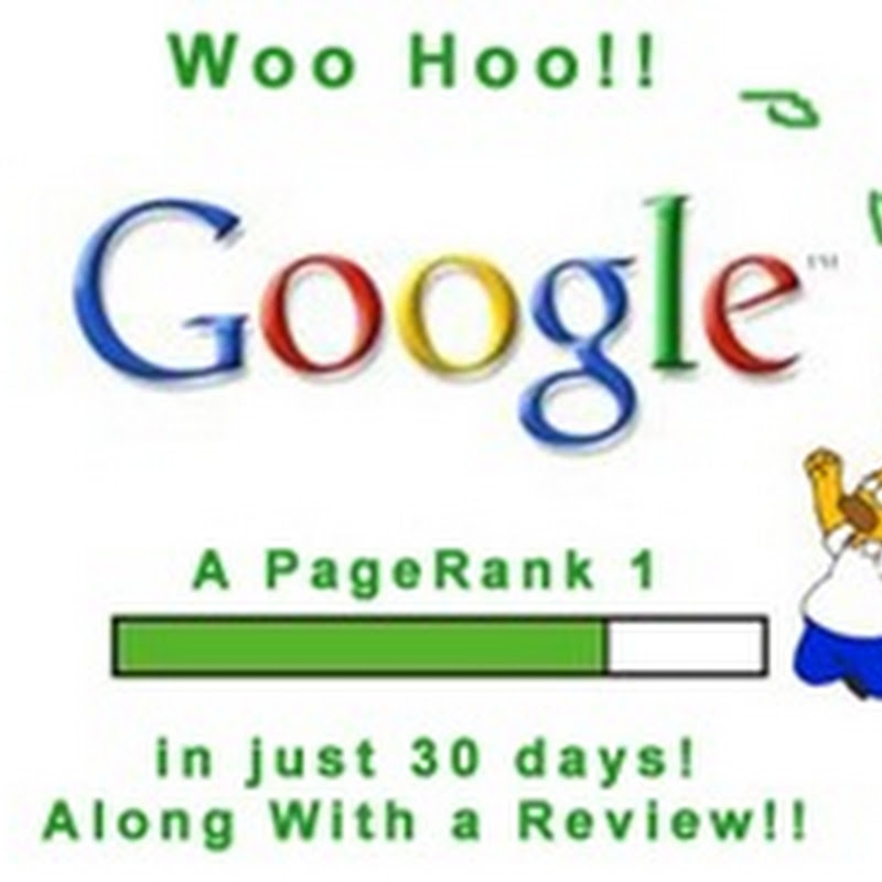 Woohoooo! Got PageRank 1.0 and 30 reviews in just a month!!