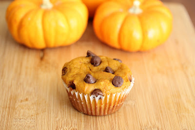 Chocolate Chip Pumpkin Muffin with pumpkins