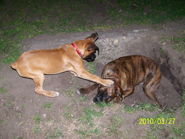 100_4434.JPG