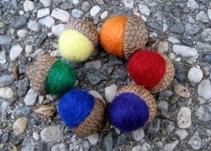 [rainbow acorns[2].jpg]