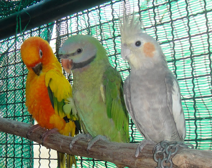 DSC00568.jpg