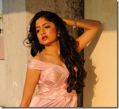 actress-poonam-kaur-hot-wallpapers
