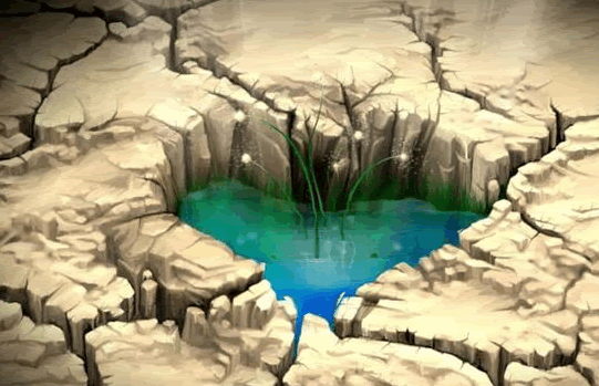 11.png