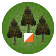 Orienteering