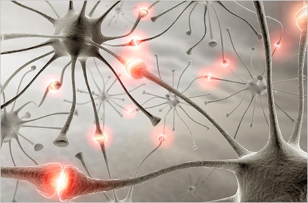 brainneurons
