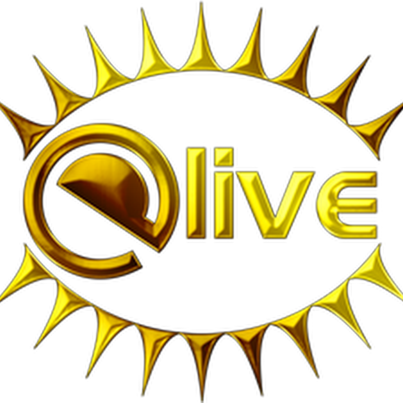 Elive is a distro of Linux based in Debian and with Enlightenment 17 for unique desktop