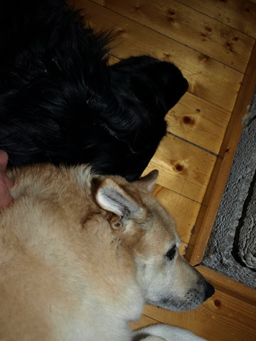 [Påske 2010 099.jpg]