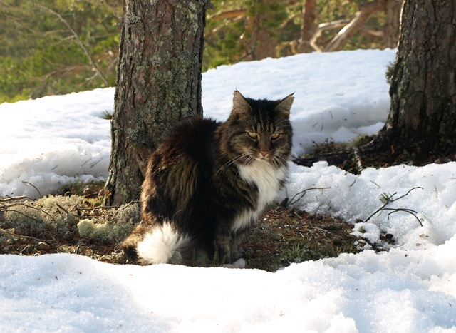 [Påske 2010 042.jpg]