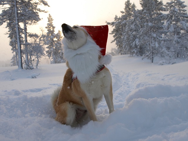 [Ble desember 027[3].jpg]
