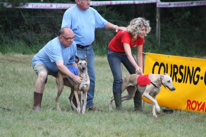 Championnat%20Europe%20Coursing%202010%20087.JPG