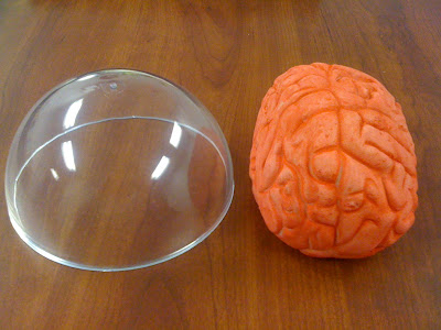 Clear Plastic Hemisphere and Pink Prop Brain Decoration