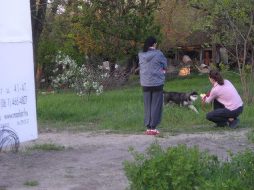 DSCN9770.JPG