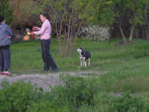 DSCN9781.JPG