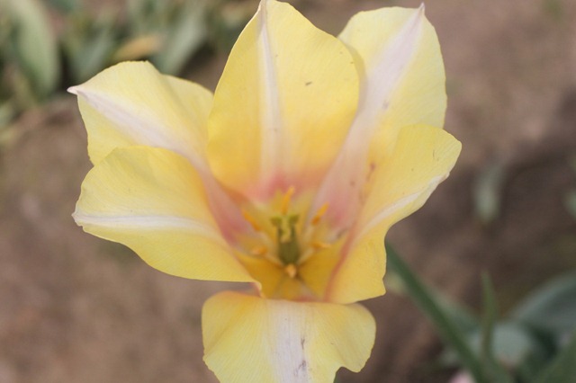 [album-7.21.10-2473.jpg]