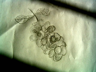 Sketch of a bunch of grapes