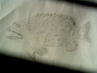 Sketch of a spaced out grouper