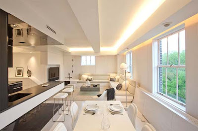 luxury interior living room and dining room